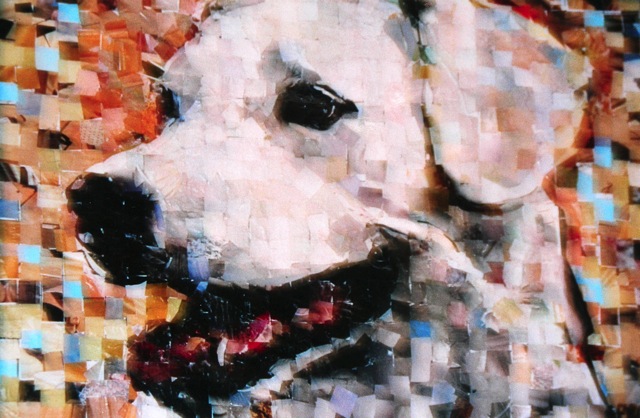 Loading Image